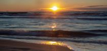 20190104 DSC06194 20190104 DSC06194